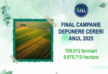 Final de campanie la APIA!