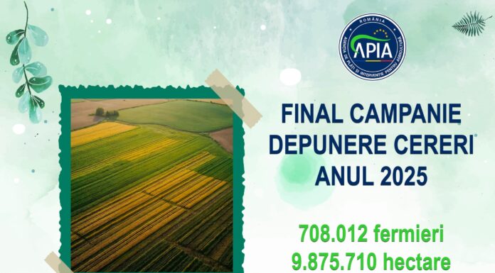 Final de campanie la APIA!