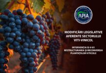 APIA anunță modificări importante în sectorul vitivinicol