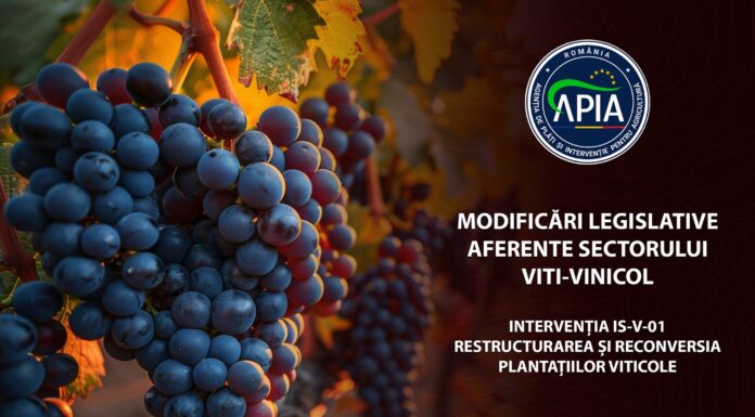 APIA anunță modificări importante în sectorul vitivinicol