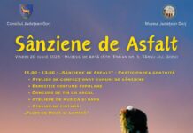 ”Sânziene de Asfalt” – Tradiții și culoare în inima Târgu Jiului