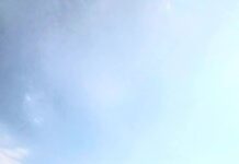 Poliția Locală Târgu Jiu anunță controale pentru combaterea ambroziei