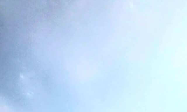 Poliția Locală Târgu Jiu anunță controale pentru combaterea ambroziei