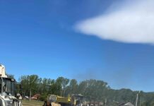 Localnic din Polovragi, amendat de comisarii de mediu