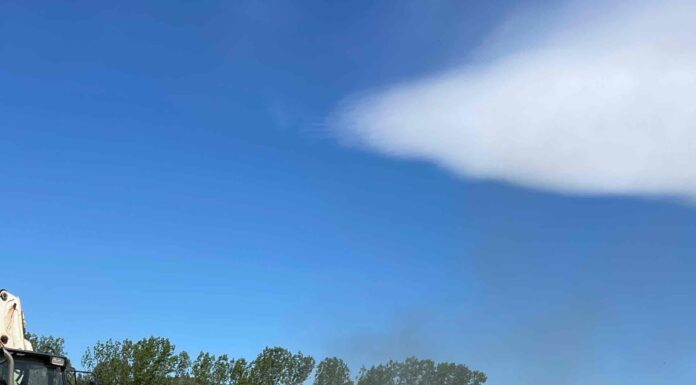 Localnic din Polovragi, amendat de comisarii de mediu