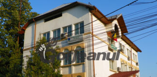 Voluntariat pentru salvarea arborilor afectați de secetă pe malul Gilortului