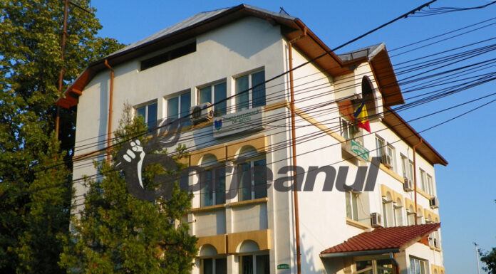 Voluntariat pentru salvarea arborilor afectați de secetă pe malul Gilortului