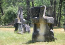 De Sânziene – ,,BRÂNCUȘIANA 1980”