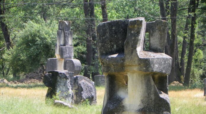 De Sânziene – ,,BRÂNCUȘIANA 1980”