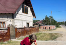 Campanie de sterilizare la Negomir, organizată de Consiliul Județean Gorj