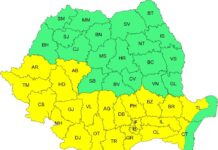 Cod galben de caniculă