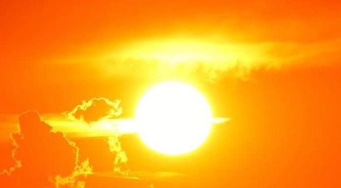 Urmează temperaturi de până la 40 de grade Celsius la umbră