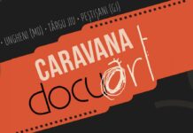 Filme în aer liber, la cula din Parcul Central