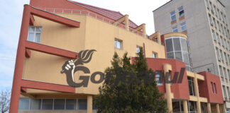 Termene prelungite, din nou, la licitațiile pentru construirea centralelor pe gaze de la Ișalnița și Turceni