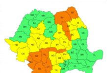 Cod portocaliu de vijelii