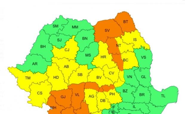 Cod portocaliu de vijelii