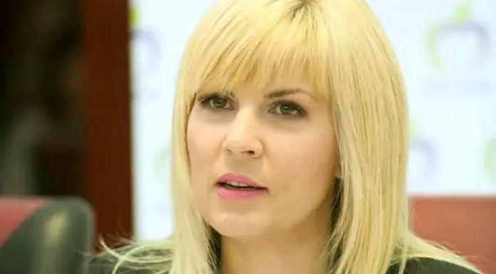 Elena Udrea, la un pas de eliberare condiționată