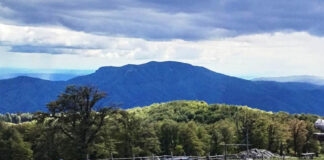 Un șofer rămas cu mașina în pană, ajutat de un echipaj de jandarmi