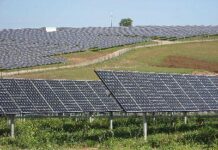 Chinezii cumpără proiecte de construire a parcurilor fotovoltaice