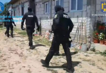VIDEO: Tânăr din comuna Scoarța, reținut după percheziții