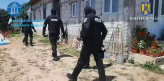 VIDEO: Tânăr din comuna Scoarța, reținut după percheziții