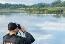 Felicitări în loc de amenzi, de la comisarii de mediu