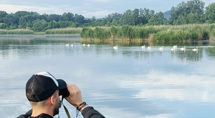 Felicitări în loc de amenzi, de la comisarii de mediu