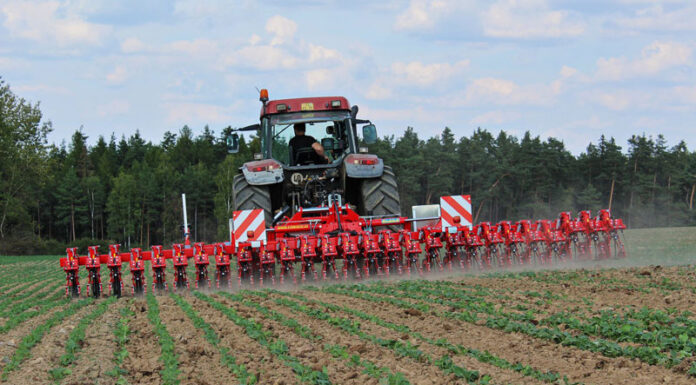 Agricultura pe înțelesul tuturor – Calendarul lucrărilor agricole în luna iunie