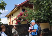 Recensământ canin și campanii de sterilizare gratuită la Prigoria