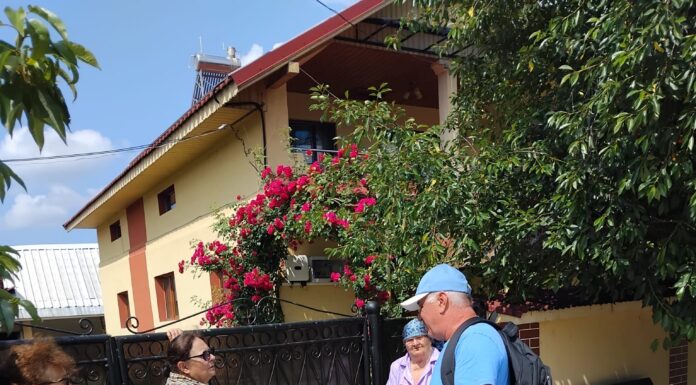 Recensământ canin și campanii de sterilizare gratuită la Prigoria