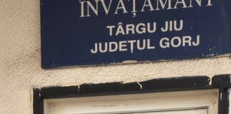 Grevă japoneză în școlile din Gorj