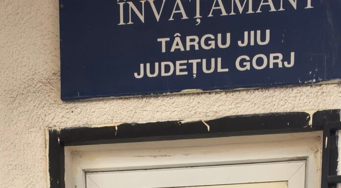 Grevă japoneză în școlile din Gorj