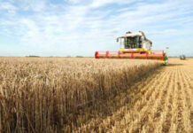 Agricultura pe înțelesul tuturor – Cum ne pregătim de recoltat păioasele