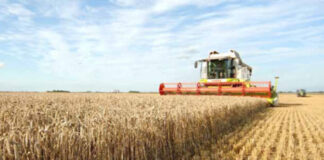 Agricultura pe înțelesul tuturor – Cum ne pregătim de recoltat păioasele