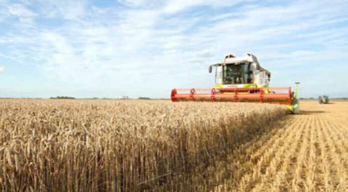 Agricultura pe înțelesul tuturor – Cum ne pregătim de recoltat păioasele