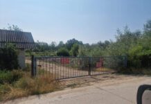 Deșeuri, azbest și bâlbâieli. Cum a fost acoperit un scandal de mediu la Târgu Cărbunești