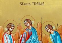 Sfânta Treime este cea care Îl întemeiază pe Dumnezeu – Orice fel de răstălmăcire în materie de credință, orice afirmație mincinoasă, eronat doctrinară referitoare la esenţa Sfintei Treimi, poate constitui un păcat de neiertat!