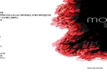 „Morfina” – premieră națională la teatrul din Târgu Jiu