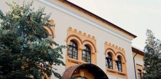 Gorjul, în topul rușinii la Bac. Fără medii de 10 și fără licee cu promovabilitate 100%!