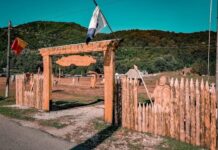 Tabăra de sculptură în lemn de la Polovragi își deschide porțile