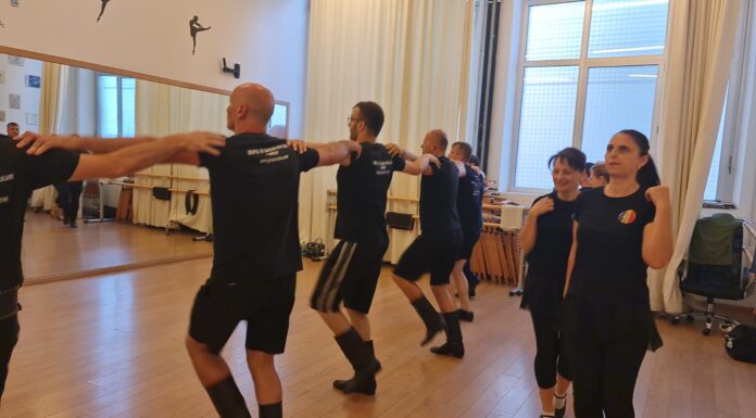 Școala Populară de Arte Târgu Jiu, în mobilitate Erasmus+ la Torino