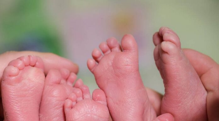 A născut tripleți!