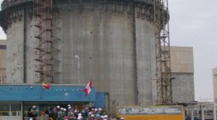 Unitatea 2 Cernavodă, abia repornită, s-a deconectat de la SEN