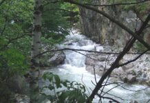 Peripluri estivale – Pe văile apelor repezi