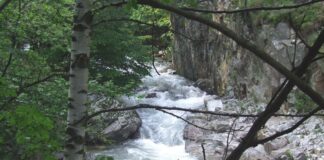 Peripluri estivale – Pe văile apelor repezi