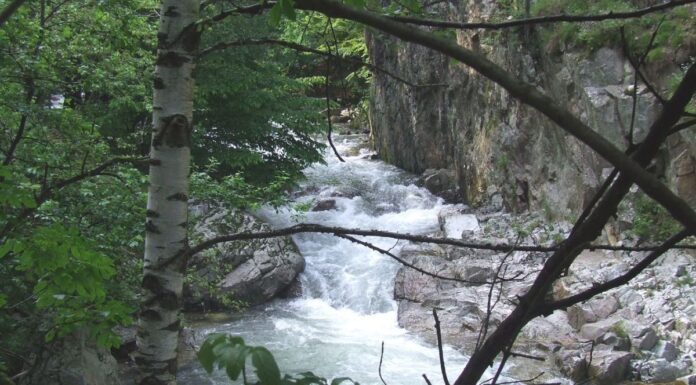 Peripluri estivale – Pe văile apelor repezi