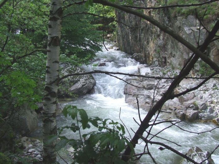 Peripluri estivale – Pe văile apelor repezi
