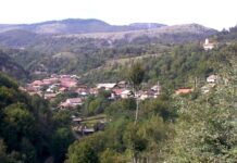 Drumuri gorjene – ,,LA TISMANA, într-o grădină”