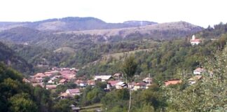 Drumuri gorjene – ,,LA TISMANA, într-o grădină”