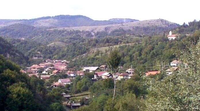 Drumuri gorjene – ,,LA TISMANA, într-o grădină”